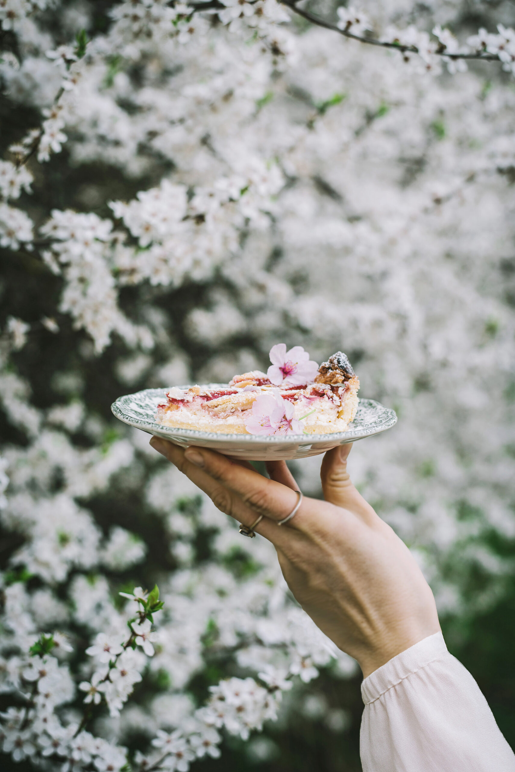 varškės ir braškių pyragas